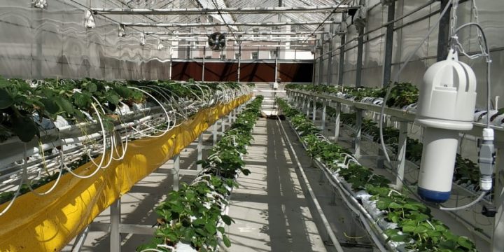 Bolu Sera Firmaları ve İmalat Yapan Firmalar