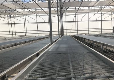 Sera Maliyetine Etken Unsurlar 2025