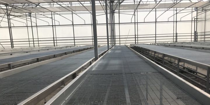 Sera Maliyetine Etken Unsurlar 2025