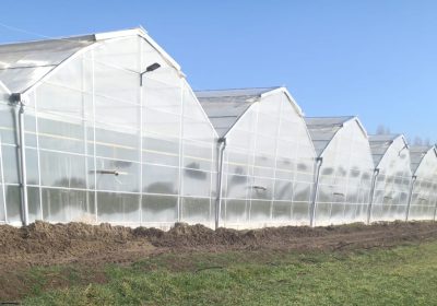 Aromatik Bitki Serası Kurulumu – Kontrollü Üretim